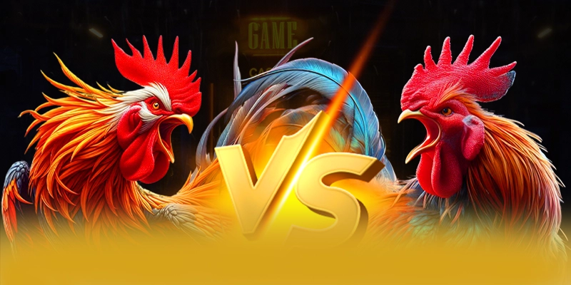 Điểm khác biệt của BET88 trên thị trường