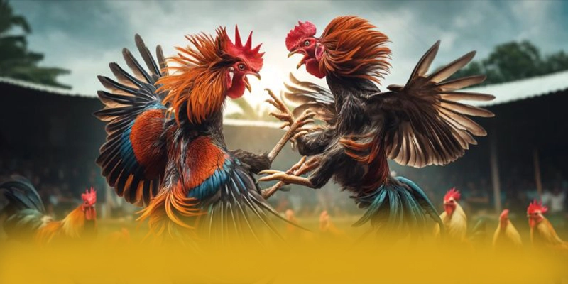 Giới thiệu FB88 - Cổng game bài phổ biến nhất hiện nay