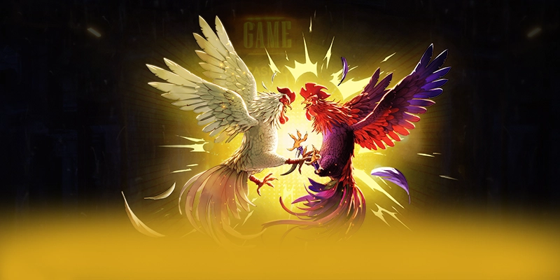 Giới thiệu 8XBET - Cổng cá cược uy tín tại Việt Nam